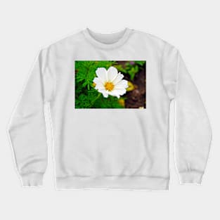 White Glory Crewneck Sweatshirt